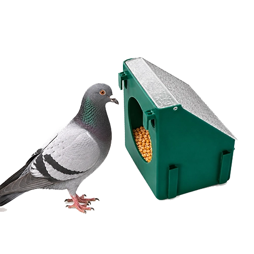 https://backend.deschamps.md/storage/product-primary-images/Porumbeni-hranitor-deschamps-main-6a41900a18fae.webp