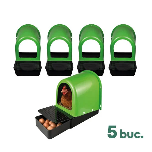 https://backend.deschamps.md/storage/product-primary-images/cuibar-gaini-ng02-5buc-main-6a8ddb2aecc14.webp
