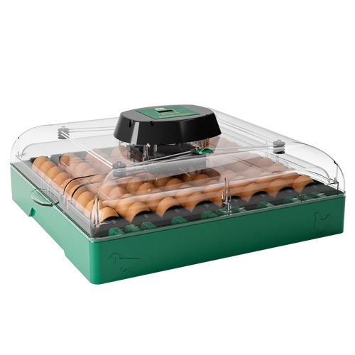 https://backend.deschamps.md/storage/product-primary-images/incubator-de-oua-digital-automat-eu-profi-c-72_main-673de23ebdbf6.webp