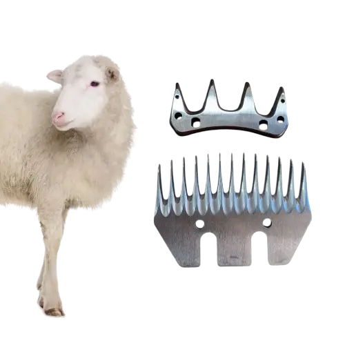 https://backend.deschamps.md/storage/product-primary-images/main-blades-sheep-1-6a95a27d0b58b.webp