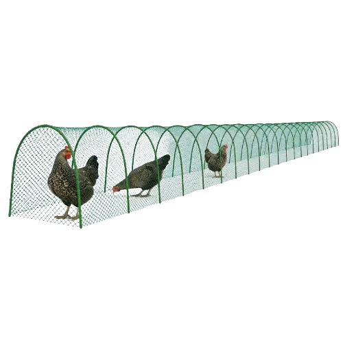 https://backend.deschamps.md/storage/product-primary-images/main_tunnel-chicken-25section-2-removebg-preview-6a9c94bd7417e.webp