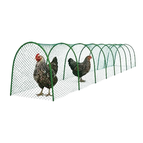 https://backend.deschamps.md/storage/product-primary-images/main_tunnel-chicken-8section-2-removebg-preview-6a9c94690ff4f.webp